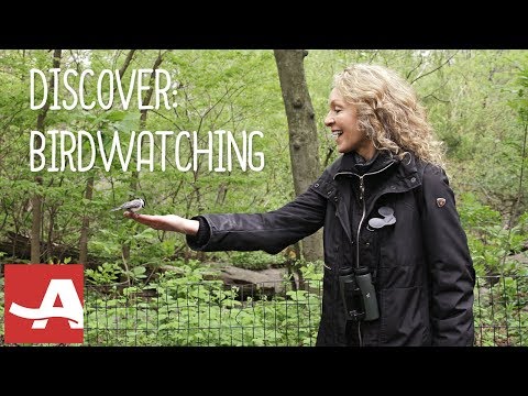 Birdwatching for Beginners with Barbara Hannah Grufferman