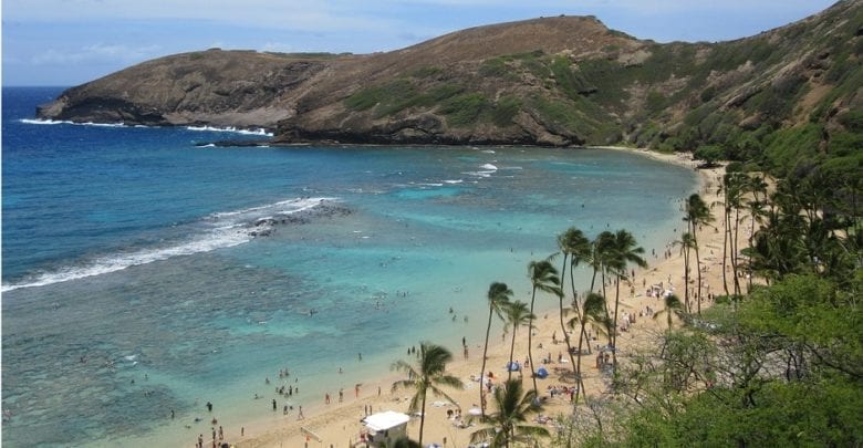 The 5 Best Hanauma Bay & Oahu Snorkeling Tours | Outside Pursuits