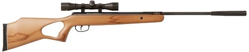 The 10 Best Air Rifles - [2021 Reviews & Guide] | Outside Pursuits