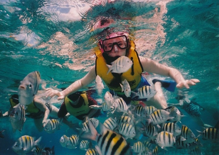 snorkeling around cancun