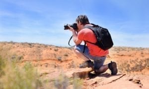 The Best Wildlife & Bird Photography Cameras