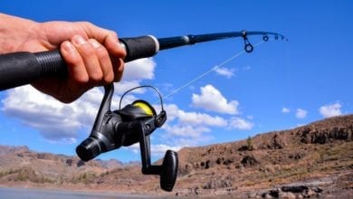 Best Spinning Rod