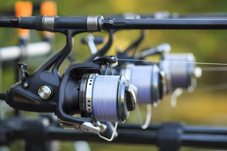 The 7 Best Saltwater Spinning Reels