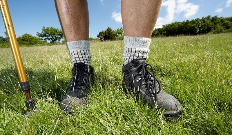 Best Socks For Hiking