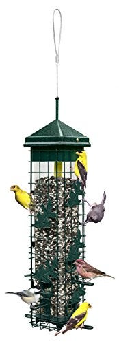 The 7 Best Bird Feeders 2020 Reviews Guide Outside Pursuits