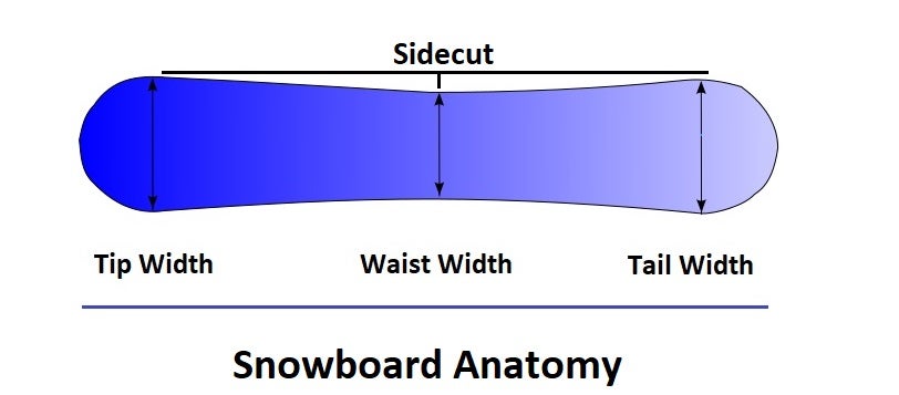 All Mountain Snowboard Anatomy