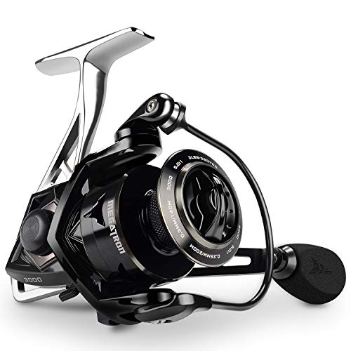 The 7 Best Saltwater Spinning Reels